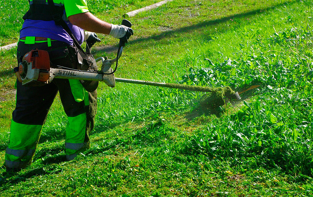 Desbroce y limpieza de parcelas en Cádiz · Jardinería y Mantenimientos de jardines en Cádiz · Servicios de Jardinería, fumigaciones, instalación de césped y limpieza de jardines en Vejer de la Frontera y Cádiz