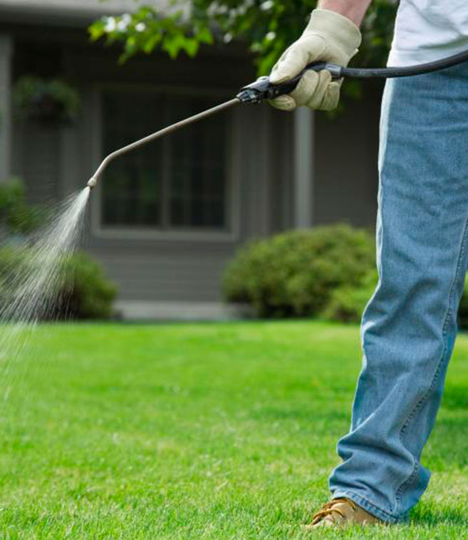 Fumigaciones en Vejer de la Frontera y Cádiz · Jardinería y Mantenimientos de jardines en Cádiz · Servicios de Jardinería, fumigaciones, instalación de césped y limpieza de jardines en Vejer de la Frontera y Cádiz