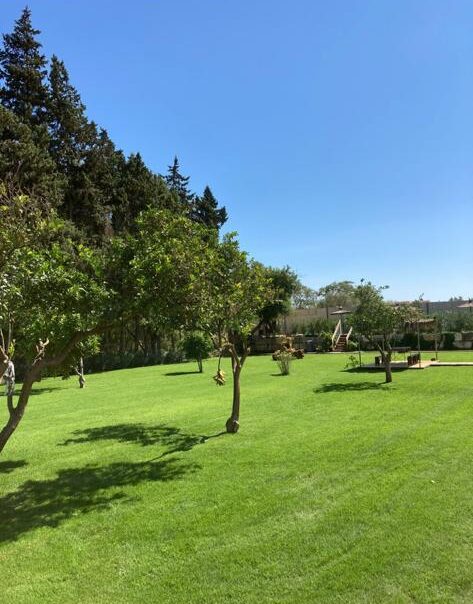 Siembra a semillas. Servicios de Jardinería. Césped Natural.