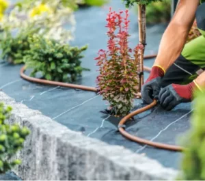 Riegos Automáticos en Vejer de la Frontera y Cádiz · Jardinería y Mantenimientos de jardines en Cádiz · Servicios de Jardinería, fumigaciones, instalación de césped y limpieza de jardines en Vejer de la Frontera y Cádiz