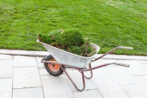 Jardinería y Mantenimiento Vejer de la Frontera - Cádiz - Álvaro Aragón