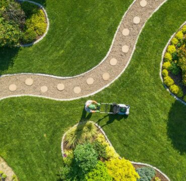 Jardinería y Mantenimiento Vejer de la Frontera - Cádiz - Álvaro Aragón Jardinería y Mantenimiento Vejer de la Frontera - Cádiz - Álvaro Aragón