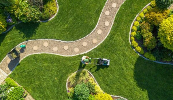 Jardinería y Mantenimiento Vejer de la Frontera - Cádiz - Álvaro Aragón