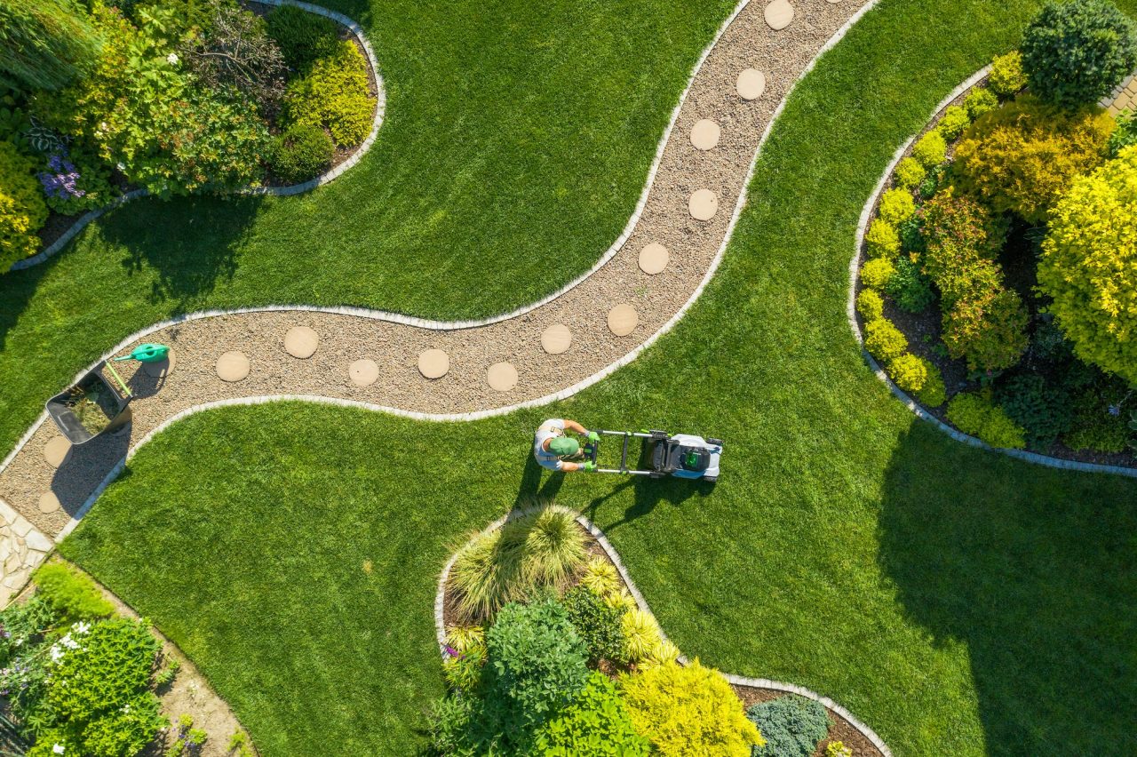 Jardinería y Mantenimiento Vejer de la Frontera - Cádiz - Álvaro Aragón