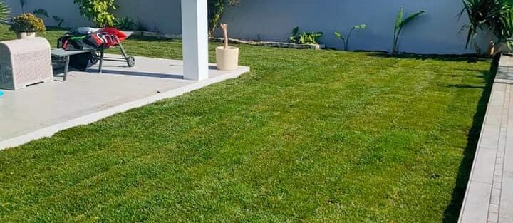Diseño de jardines y exteriores en Málaga: Creatividad y Sostenibilidad – 5 Servicios Garantizado · Jardinería y Mantenimientos de jardines en Cádiz · Servicios de Jardinería, fumigaciones, instalación de césped y limpieza de jardines en Vejer de la Frontera y Cádiz