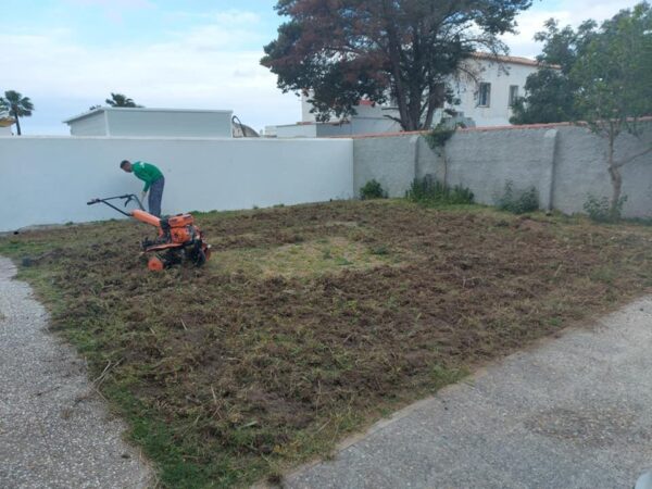 Poda y mantenimiento de Jardines en Cádiz · Jardinería y Mantenimientos de jardines en Cádiz · Servicios de Jardinería, fumigaciones, instalación de césped y limpieza de jardines en Vejer de la Frontera y Cádiz