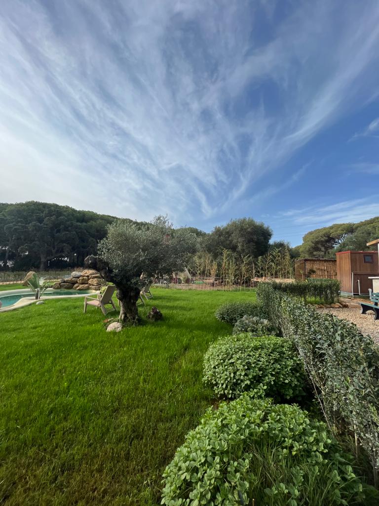 Trabajos Realizados · Jardinería y Mantenimientos de jardines en Cádiz · Servicios de Jardinería, fumigaciones, instalación de césped y limpieza de jardines en Vejer de la Frontera y Cádiz