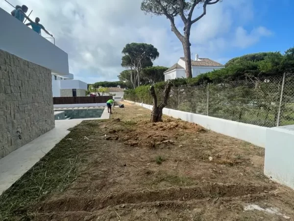 Reformas de Jardines en Cádiz - Verano 2023 · Jardinería y Mantenimientos de jardines en Cádiz · Servicios de Jardinería, fumigaciones, instalación de césped y limpieza de jardines en Vejer de la Frontera y Cádiz