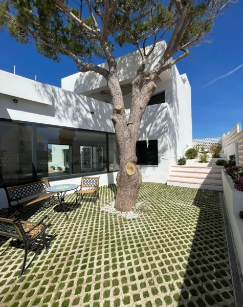 jardineria y paisajismo en cadiz (4) Servicios para comunidades y particulares de: Jardinería, Poda, Paisajismo, fumigaciones, Mantenimiento de Piscinas. En Cádiz y resto de la Comunidad de Andalucía.